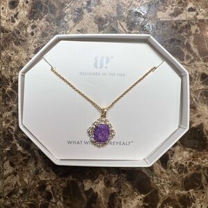 NWT Bomb Party Amethyst Necklace